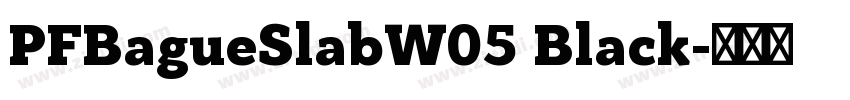 PFBagueSlabW05 Black字体转换